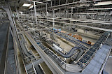 Ultra Clean Filling Line - Packaging Area